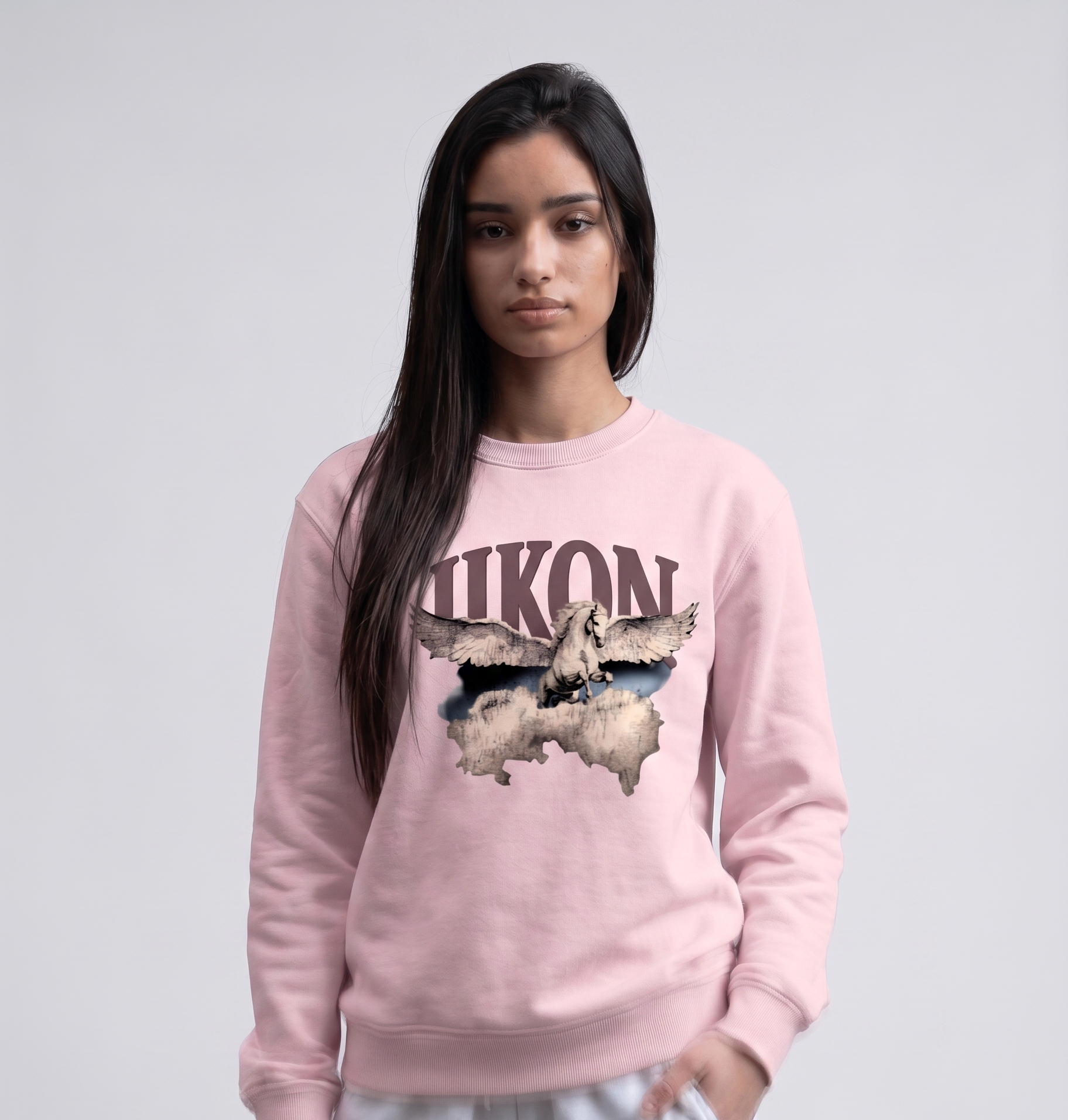 IIKON FLYING HORSE X SWEATSHIRT