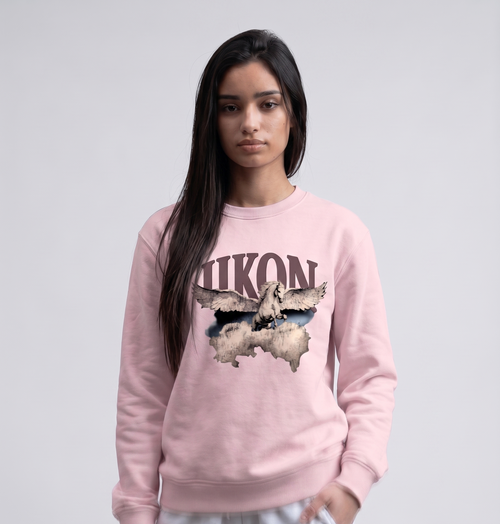 IIKON FLYING HORSE X SWEATSHIRT
